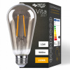 LED žiarovka E27 FILAMENT EDISON RETRO OKRASNÁ 10W