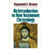An Introduction to New Testament Christology (Raymond Edward Brown)(Brožovaná)