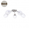 Stropní svítidlo DOMOLETTI CL17061-5, 5 × 60 W, E27