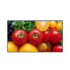 NEO AG Neovo QM-5503 Plochý monitor panel Digital Signage 55