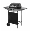 Plynový gril Teesa BBQ 2000 2 horáky TSA0080 (TSA0080)