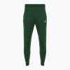 Pánske nohavice Nike Sportswear Club Fleece Jogger jedľa/jedľa/biela