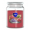 Aura /Bispol/ Aura Bispol Raspberry Lavender vonná sviečka 500g