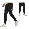 adidas Entrada 22 M HC0332 Pants black