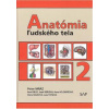 Anatómia ľudského tela 2 - Peter Mráz