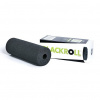 Blackroll Mini Farba: čierna