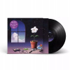 We Always Had Tomorrow Miami Horror Vinyl