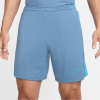 Nike Academy pánske šortky Aegean Storm XL