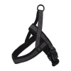 Postroj ACTIVE DOG Neopréne šedý L/XL
