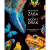 Rajčatová žába a modrý drak - Köhrsenová Andrea