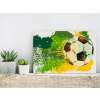 Maľujte obrázok - futbalové emócie - 60x40 (Obrázok pre futbalové emócie s vlastným spôsobom)