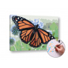Maľovanie podľa čísel na plátno MOTÝĽ MONARCHA – nízka náročnosť (Sada na maľovanie podľa čísel ARTMIE)