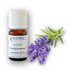 Arttec Lavandin super de Provence bio (Lavandula hybrida), Lavandula hybrida NAT00011