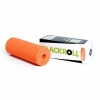 BlackRoll Mini