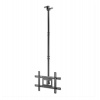 MANHATTAN Stropní držák TV, natáčecí (+/-30° Swivel, +5 to -25° Tilt, max. 50kg) (462051)