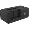 Icy Box IB-2924MSCL-C31