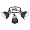 Globo 54018-3S WIHO Spot