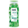 Dixi šampón Breza 250 ml