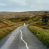 Jordan Rakei, RAKEI, JORDAN - THE LOOP CD, CD