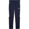 Pánske tepláky Puma, TEAMEVOSTRIPE PANTS tmavo modrá,biela S