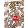 Princezna z Nekonečného hradu - Šintaró Kago