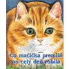 Čo mačička premilá po celý deň robila - Ray Cresswell