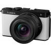 Panasonic Lumix S9 Smokey White 18-40mm F/4.5-6.3