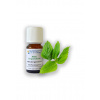Arttec Mäta bergamotová (Mentha citrát), mäta bergamotová NAT00012