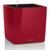 Lechuza Kvetináč CUBE Premium 30 - scarlet red high gloss