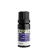 Nobilis Tilia BIO Niaouli éterický olej 10 ml