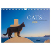 Cats of the Greek Islands (Wall Calendar 2026 DIN A4 landscape), CALVENDO 12 Month Wall Calendar