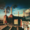 Pink Floyd: Animals LP - Pink Floyd