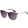 Relax Calumet - R0314L/Shiny Purple/Gold/Grey Gradient/Polarized one size