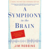 Symphony in the Brain