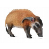 CollectA 88554 Riečne prasa veľkosť: L (004-88554)