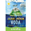 E-kniha Zázrak jménem voda - Jiří Dušek, Petr Kostka, Michaela Štěpánová (ilustrátor)