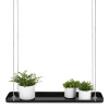 Záves na kvety WINDOW DRESSING, okenná, čierna / biela, 38x15cm | Esschert Design - černá