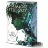 Tři spáči - Maggie Stiefvater
