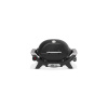 Weber Q 1100N