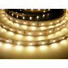 LED pásek 10mm, teplá bílá, 60xLED5050/m,12W/metr,cívka 5m