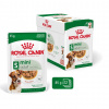ROY ROYAL CANIN Mini Adult - mokré krmivo pre psov - 12 x 85g