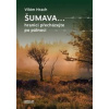Šumava - Vilém Hrach