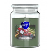 Aura /Bispol/ Aura Bispol Winter Tree vonná sviečka 500g