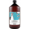 Davines NaturalTech Well Being Shampoo 1 l