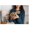 Ugears 3D drevené mechanické puzzle Tyranosaurus Rex