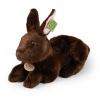 Rappa králik hnedý ležiaci 36 cm
