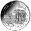 Elephant - African Wildlife 1 Oz Silver 2026 - osobný odber v Bratislave
