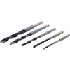 BGS Diy BGS 50799 | Sada vrtákov do dreva | 4 - 10 mm | šesťhran | 5-dielna