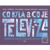 Co byla a co je televize (Vladimír Bradáč)