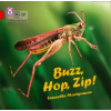Buzz, Hop, Zip! Big Book - Montgomerie, Samantha